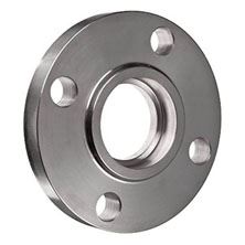 Stainless Steel Flange