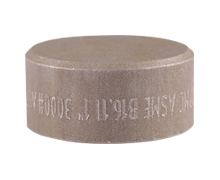 SS Socket Weld Cap